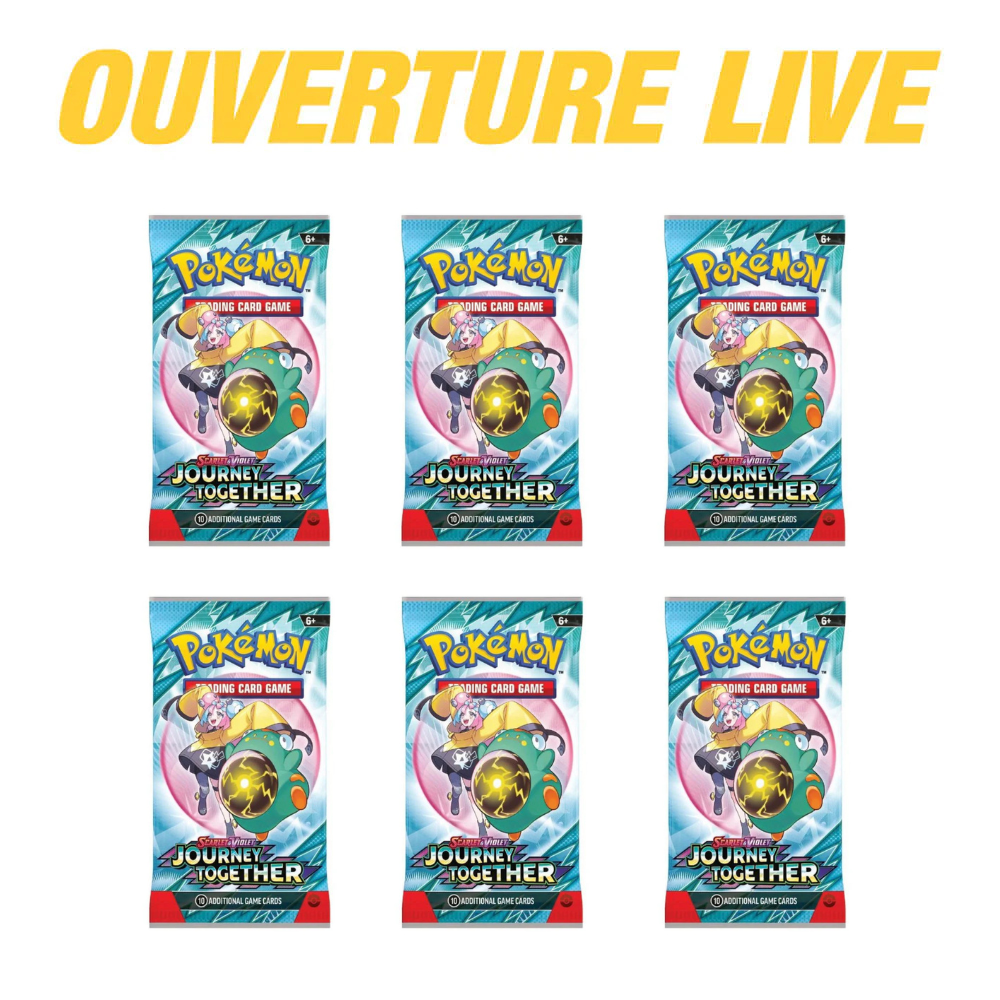Pokemon Journey Together - 6 Paquets