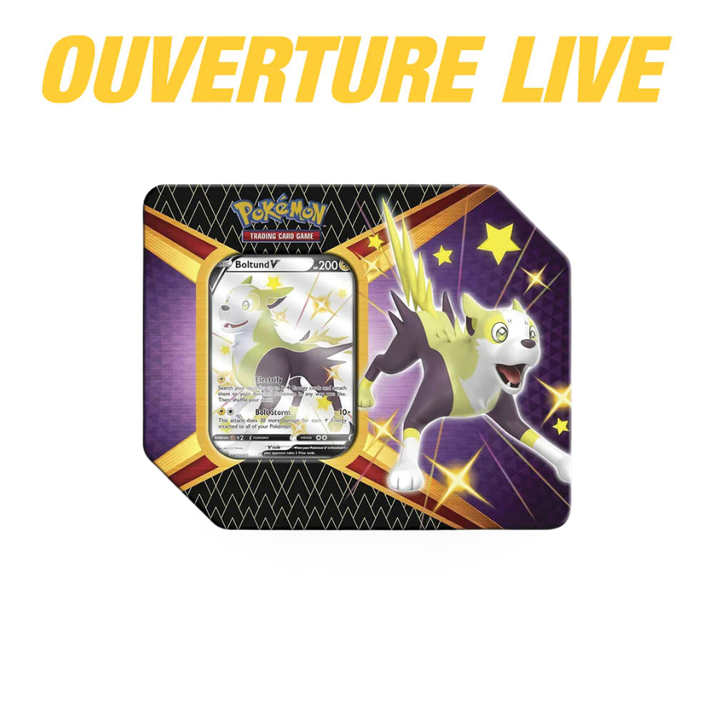 Pokémon Shining Fates Tins (Boltund)