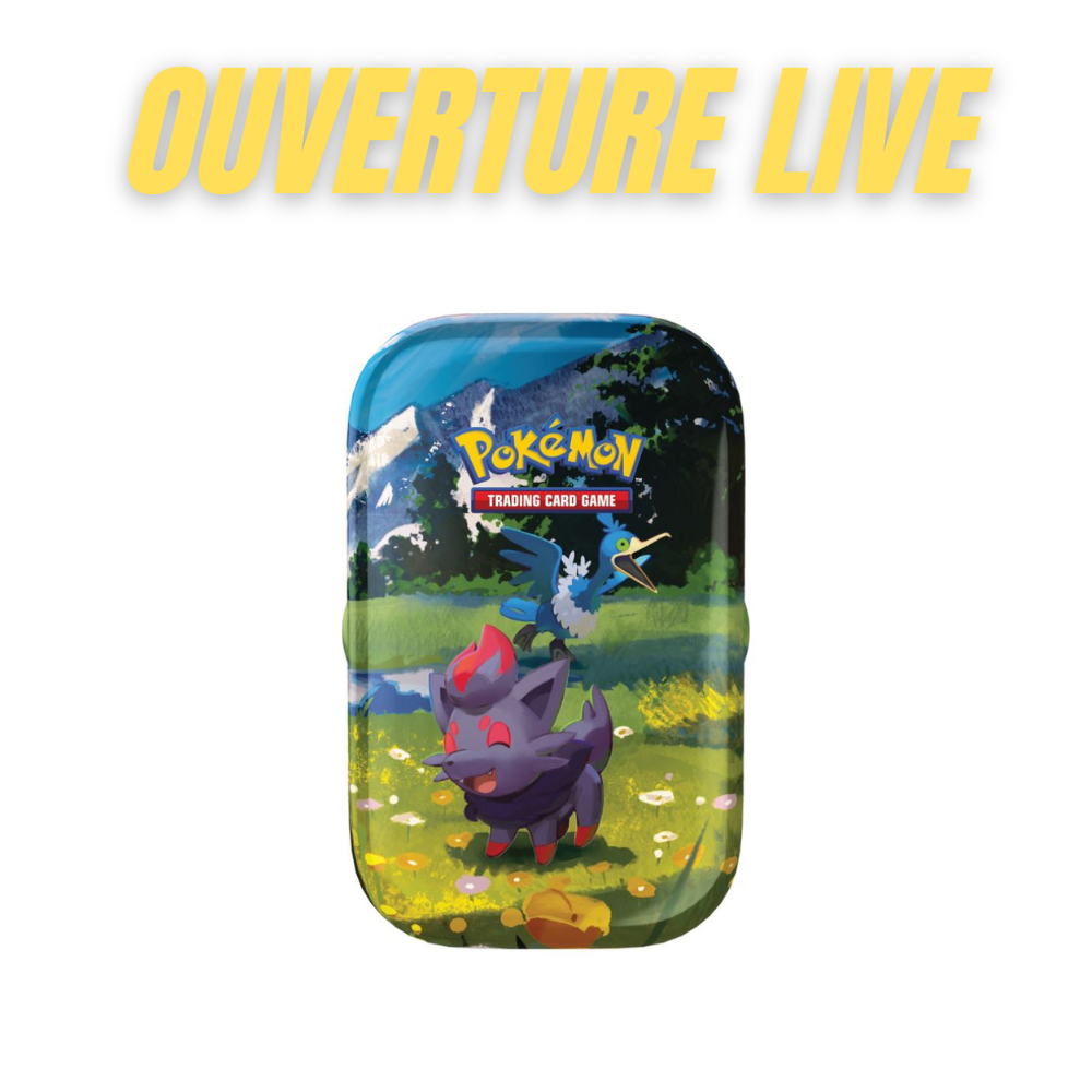 Pokemon Ascended Heroes Mini Tins